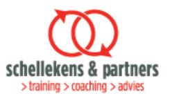 Schellekens en partners